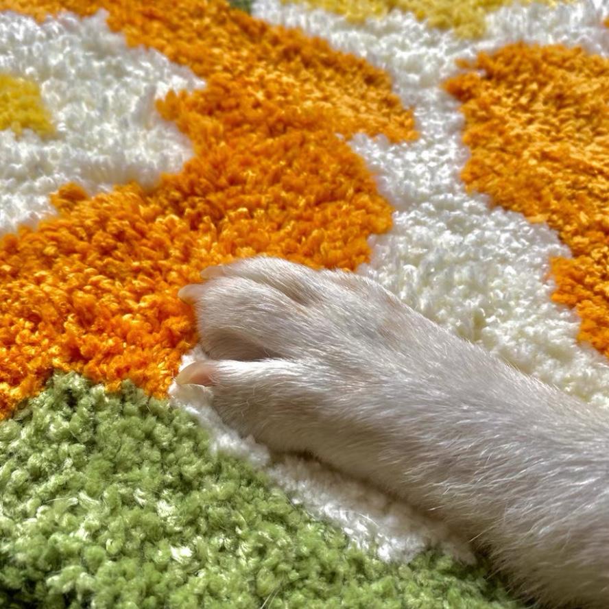 cat paw on rug