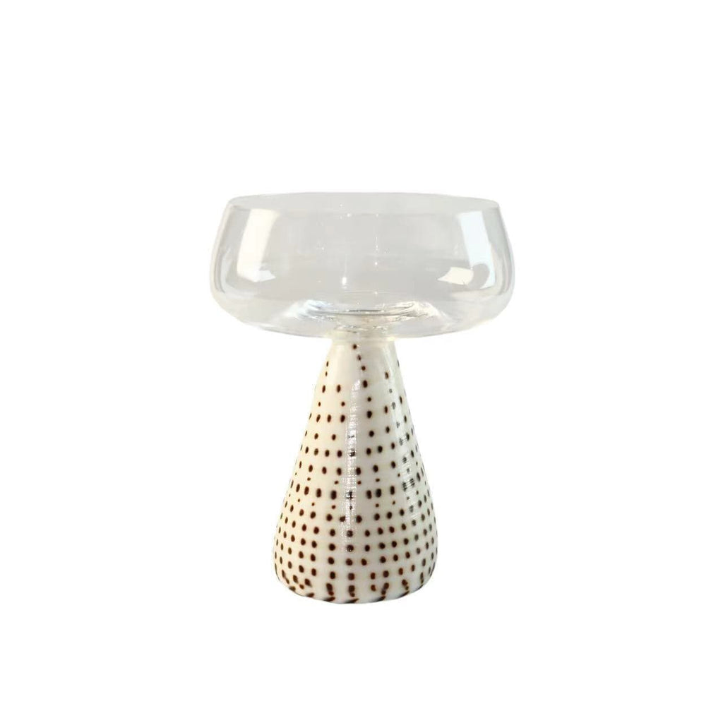 Conch Shell Coupe Glass