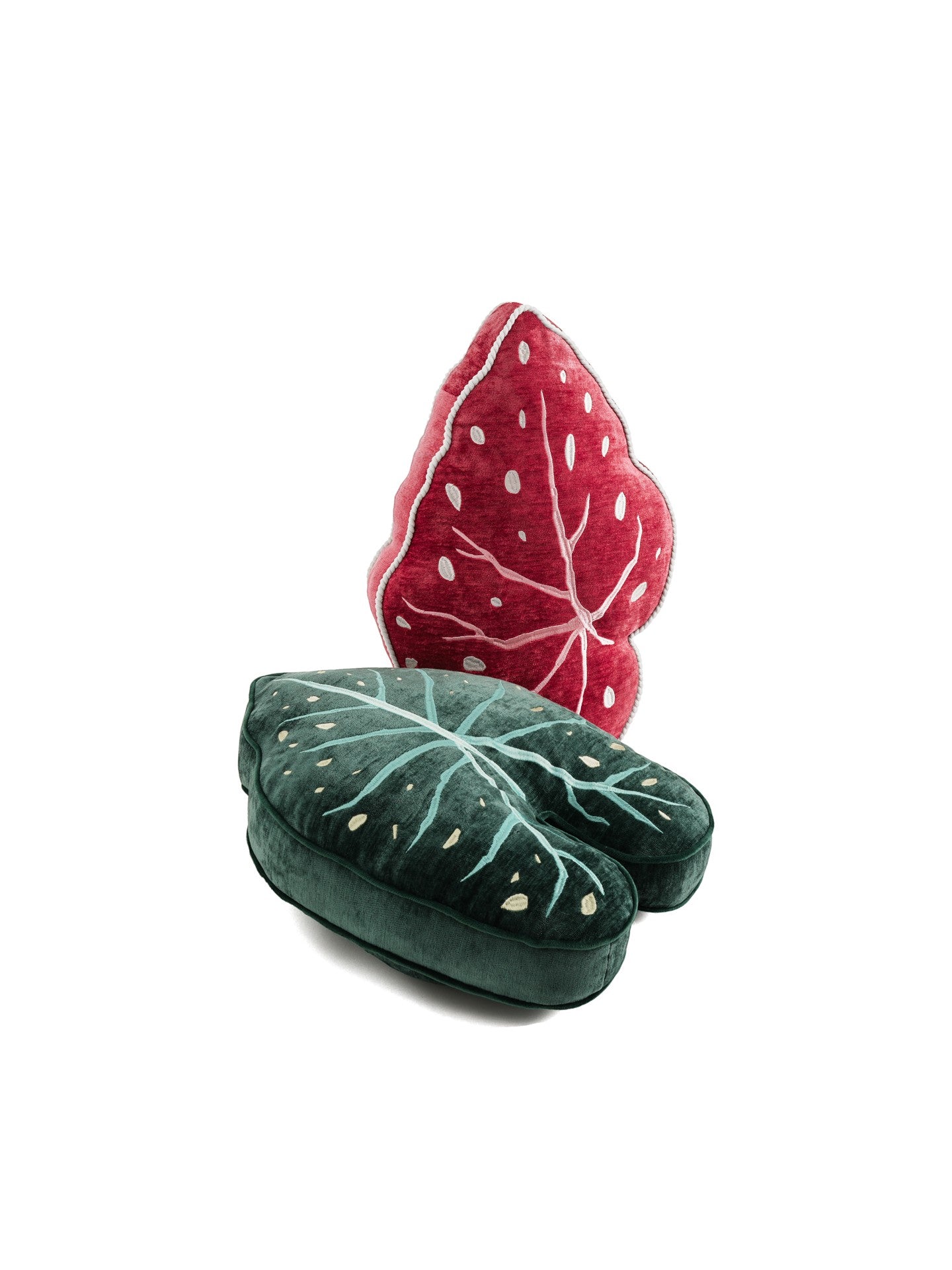 Funky plant shaped pillow cushion