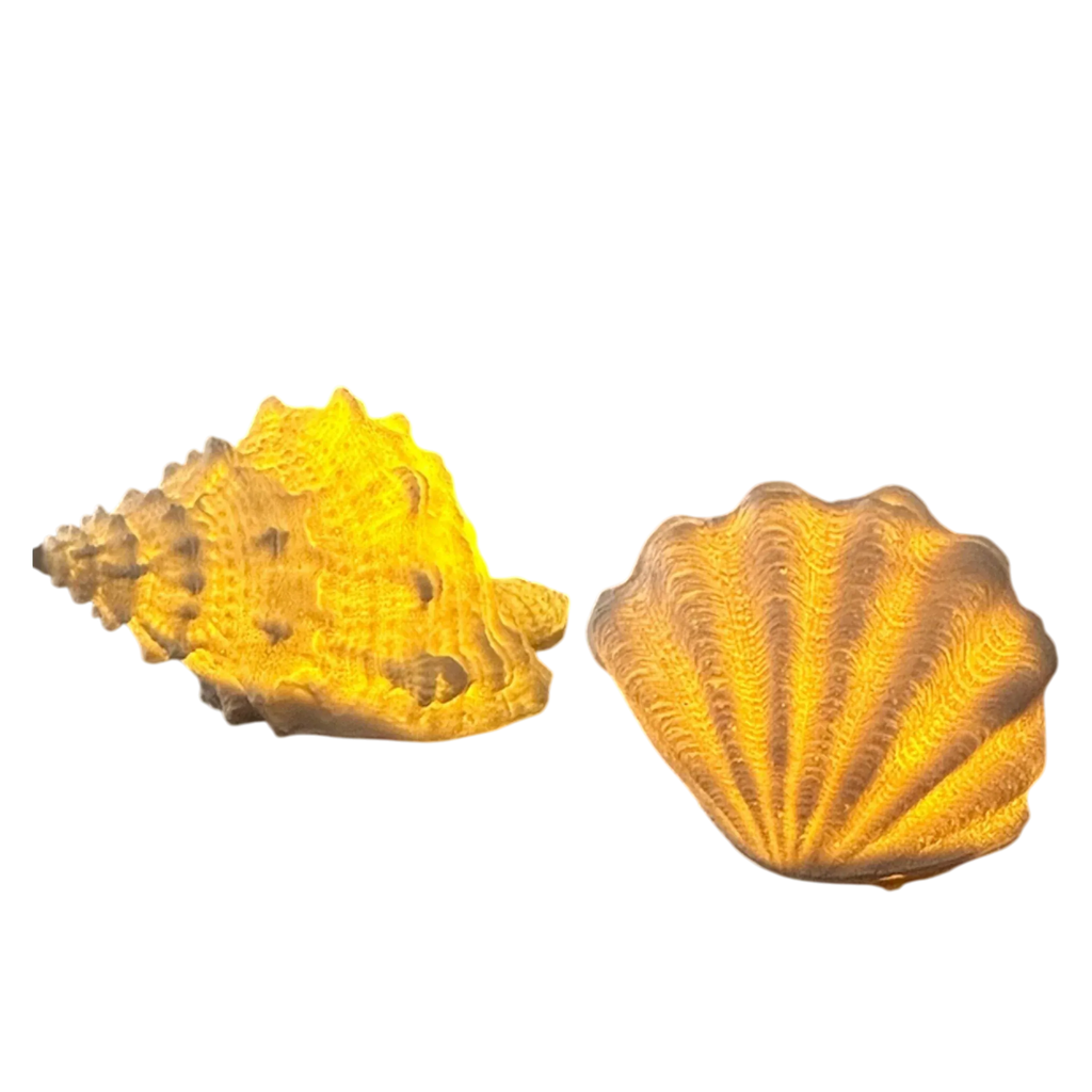 HOMELIVY decorative LED lights shaped like a conch and scallop seashell, emitting a warm yellow glow.