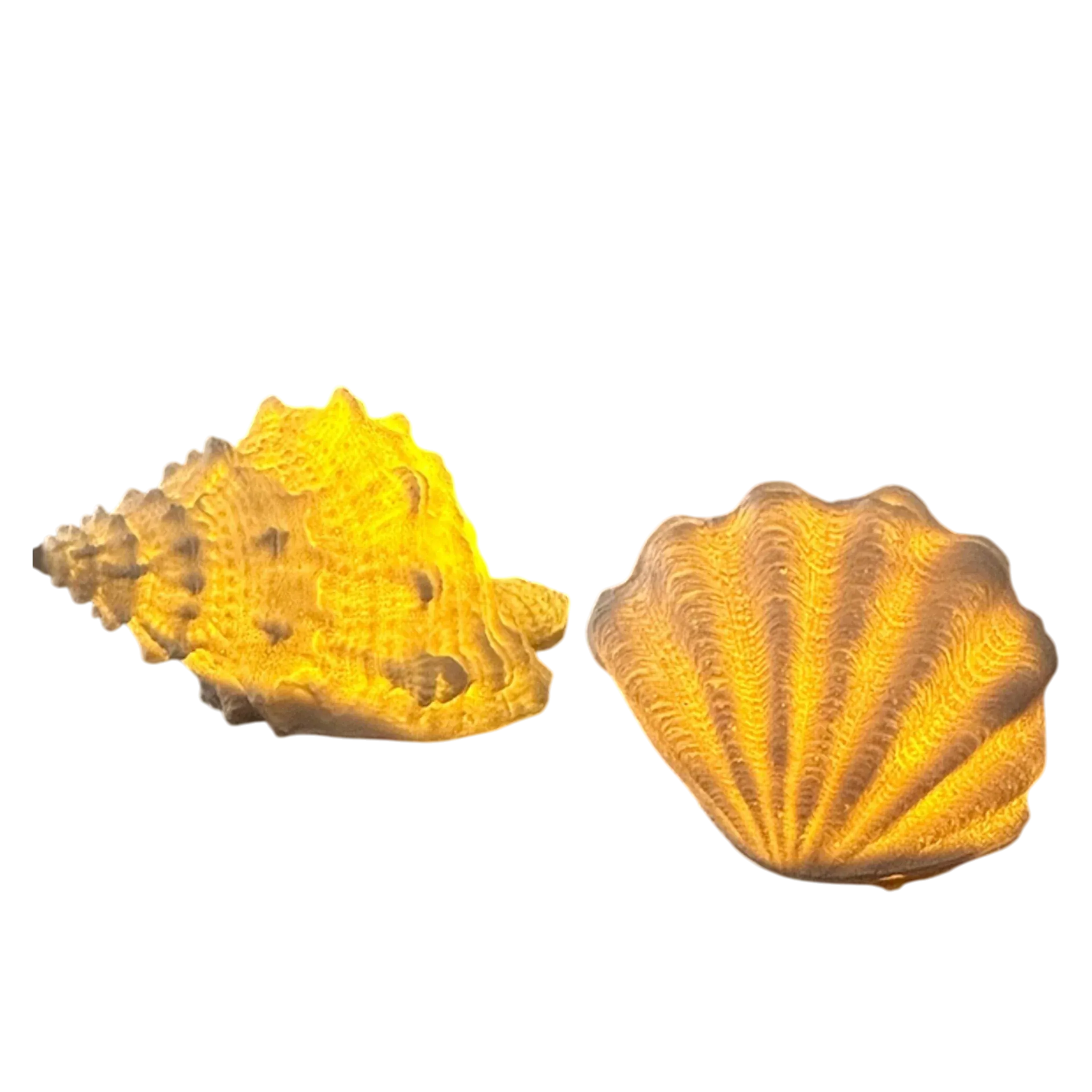 HOMELIVY decorative LED lights shaped like a conch and scallop seashell, emitting a warm yellow glow.