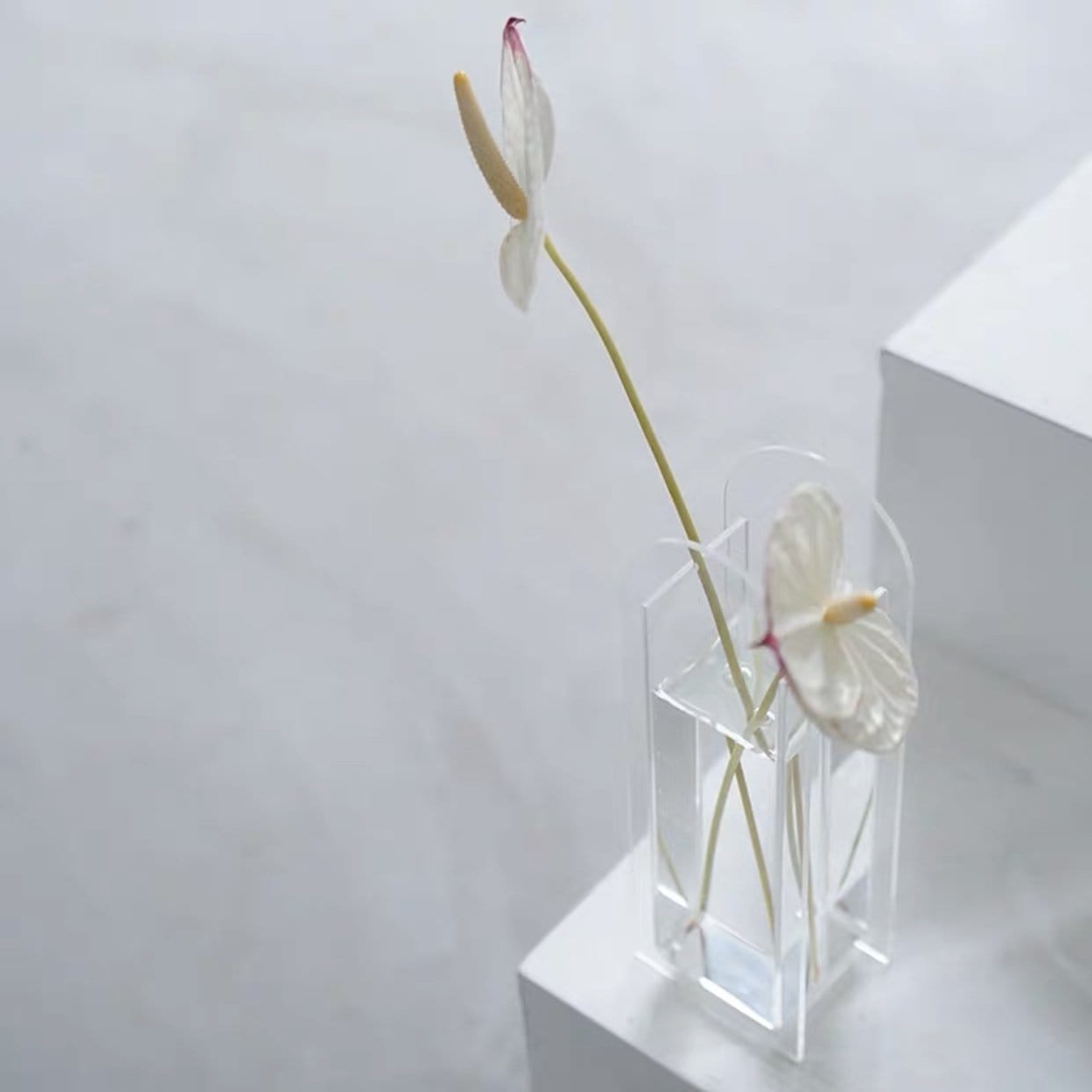Clear Transparent Acrylic Flower Vase