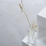 Load image into Gallery viewer, Clear Transparent Acrylic Flower Vase
